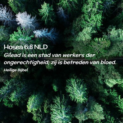 Picture 02 - Hosea 6:8 NLD - Gilead is een stad van werkers der - Bible Verse Picture