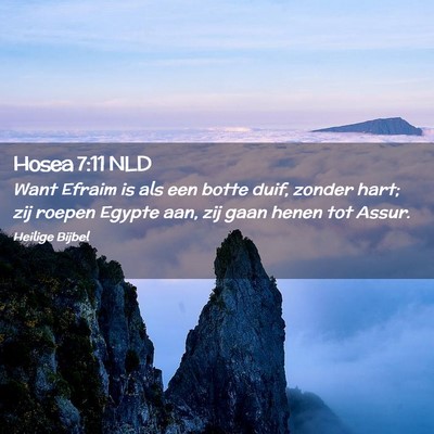 Picture 02 - Hosea 7:11 NLD - Want Efraim is als een botte duif, zonder hart; - Bible Verse Picture