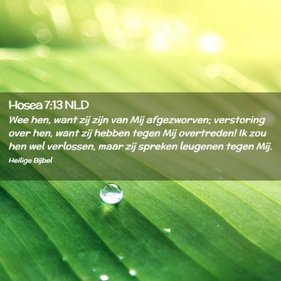 Picture 02 - Hosea 7:13 NLD - Wee hen, want zij zijn van Mij afgezworven; - Bible Verse Picture