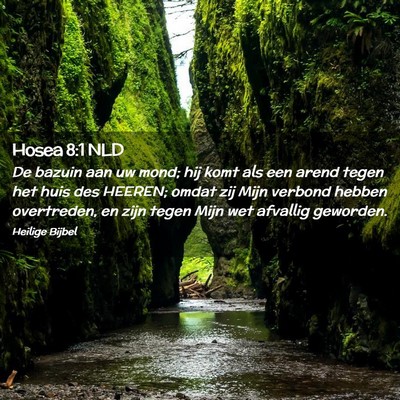 Picture 02 - Hosea 8:1 NLD - De bazuin aan uw mond; hij komt als een arend - Bible Verse Picture