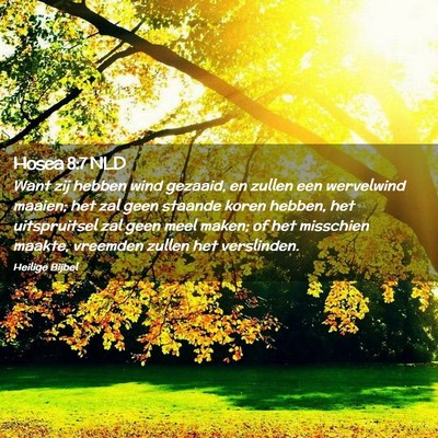 Picture 02 - Hosea 8:7 NLD - Want zij hebben wind gezaaid, en zullen een - Bible Verse Picture