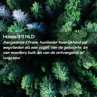 Picture 02 - Hosea 9:11 NLD - Aangaande Efraim, hunlieder heerlijkheid zal - Bible Verse Picture