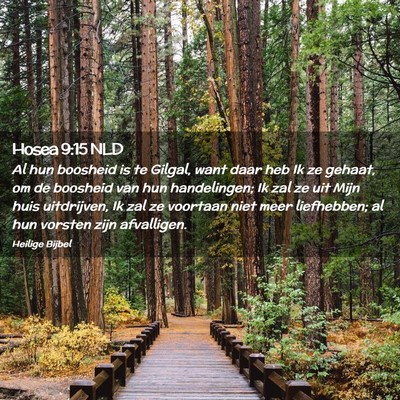 Picture 02 - Hosea 9:15 NLD - Al hun boosheid is te Gilgal, want daar heb Ik ze - Bible Verse Picture