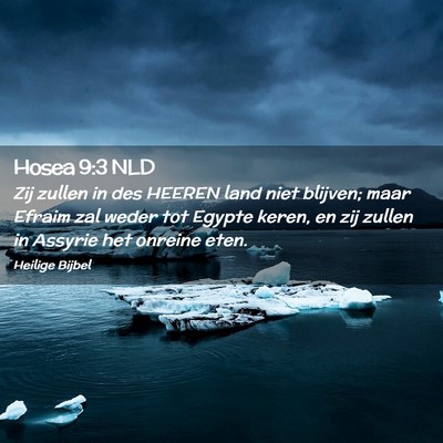 Picture 02 - Hosea 9:3 NLD - Zij zullen in des HEEREN land niet blijven; maar - Bible Verse Picture