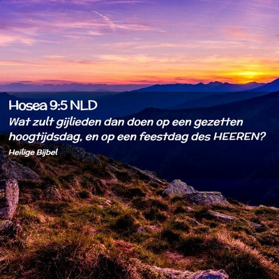 Picture 02 - Hosea 9:5 NLD - Wat zult gijlieden dan doen op een gezetten - Bible Verse Picture