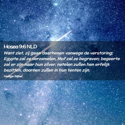 Picture 02 - Hosea 9:6 NLD - Want ziet, zij gaan daarhenen vanwege de - Bible Verse Picture