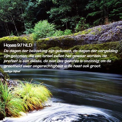 Picture 02 - Hosea 9:7 NLD - De dagen der bezoeking zijn gekomen, de dagen der - Bible Verse Picture