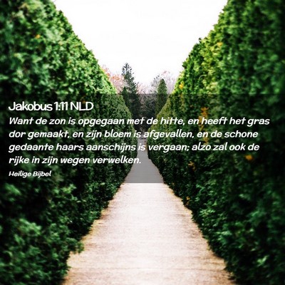 Picture 02 - Jakobus 1:11 NLD - Want de zon is opgegaan met de hitte, en heeft - Bible Verse Picture