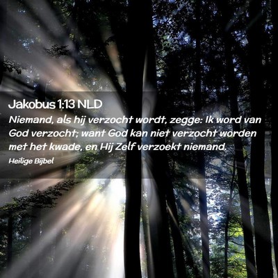 Picture 02 - Jakobus 1:13 NLD - Niemand, als hij verzocht wordt, zegge: Ik word - Bible Verse Picture