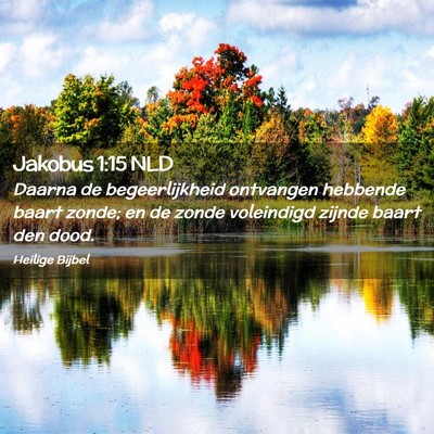 Picture 02 - Jakobus 1:15 NLD - Daarna de begeerlijkheid ontvangen hebbende baart - Bible Verse Picture