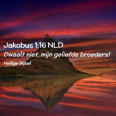 Picture 02 - Jakobus 1:16 NLD - Dwaalt niet, mijn geliefde - Bible Verse Picture