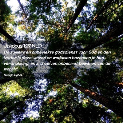 Picture 02 - Jakobus 1:27 NLD - De zuivere en onbevlekte godsdienst voor God en - Bible Verse Picture