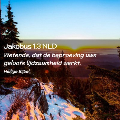Picture 02 - Jakobus 1:3 NLD - Wetende, dat de beproeving uws geloofs - Bible Verse Picture