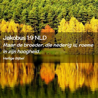 Picture 02 - Jakobus 1:9 NLD - Maar de broeder, die nederig is, roeme in zijn - Bible Verse Picture
