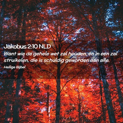 Picture 02 - Jakobus 2:10 NLD - Want wie de gehele wet zal houden, en in een zal - Bible Verse Picture