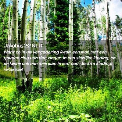 Picture 02 - Jakobus 2:2 NLD - Want zo in uw vergadering kwam een man met een - Bible Verse Picture