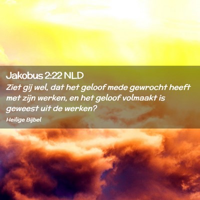Picture 02 - Jakobus 2:22 NLD - Ziet gij wel, dat het geloof mede gewrocht heeft - Bible Verse Picture