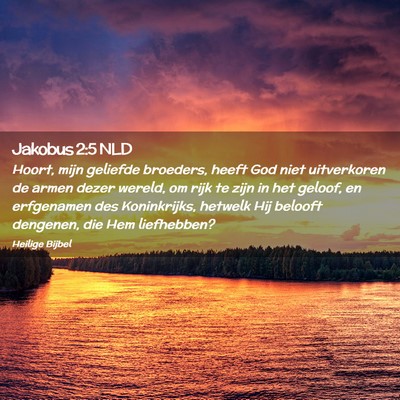 Picture 02 - Jakobus 2:5 NLD - Hoort, mijn geliefde broeders, heeft God niet - Bible Verse Picture