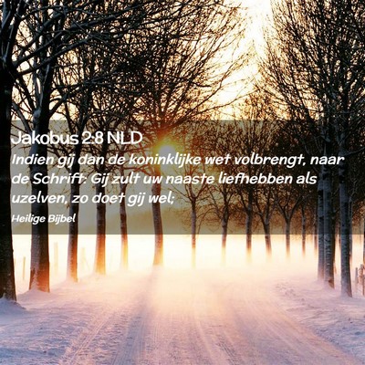 Picture 02 - Jakobus 2:8 NLD - Indien gij dan de koninklijke wet volbrengt, naar - Bible Verse Picture