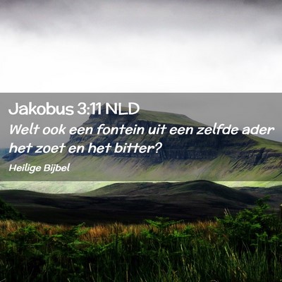 Picture 02 - Jakobus 3:11 NLD - Welt ook een fontein uit een zelfde ader het zoet - Bible Verse Picture