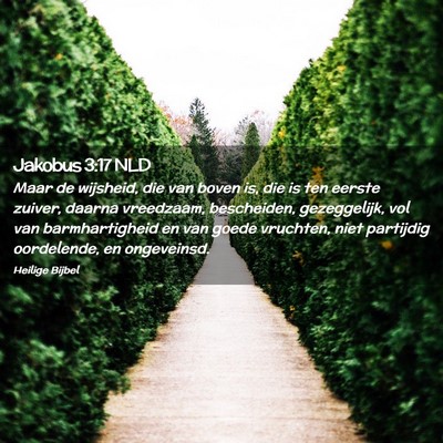 Picture 02 - Jakobus 3:17 NLD - Maar de wijsheid, die van boven is, die is ten - Bible Verse Picture