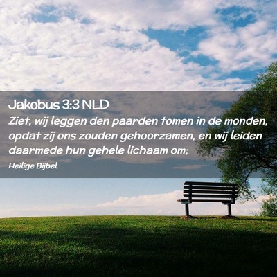 Picture 02 - Jakobus 3:3 NLD - Ziet, wij leggen den paarden tomen in de monden, - Bible Verse Picture