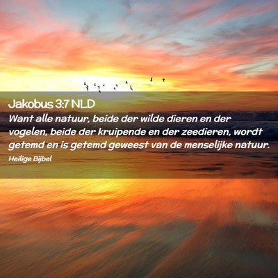 Picture 02 - Jakobus 3:7 NLD - Want alle natuur, beide der wilde dieren en der - Bible Verse Picture