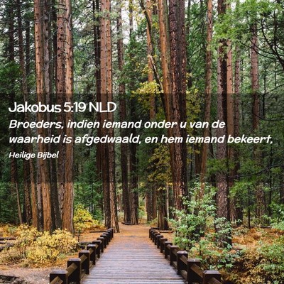 Picture 02 - Jakobus 5:19 NLD - Broeders, indien iemand onder u van de waarheid - Bible Verse Picture