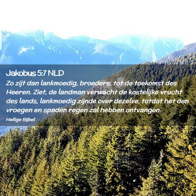 Picture 02 - Jakobus 5:7 NLD - Zo zijt dan lankmoedig, broeders, tot de toekomst - Bible Verse Picture
