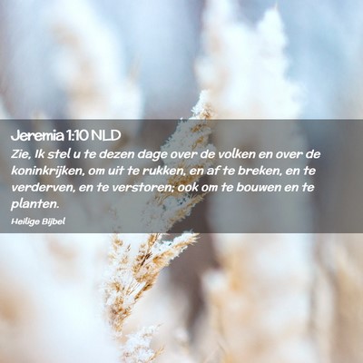 Picture 02 - Jeremia 1:10 NLD - Zie, Ik stel u te dezen dage over de volken en - Bible Verse Picture