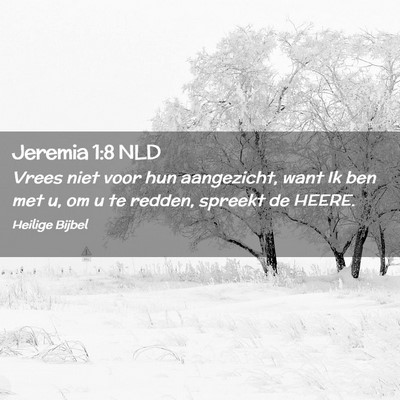 Picture 02 - Jeremia 1:8 NLD - Vrees niet voor hun aangezicht, want Ik ben met - Bible Verse Picture