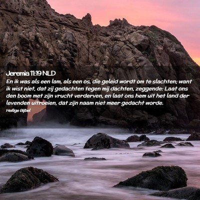Picture 02 - Jeremia 11:19 NLD - En ik was als een lam, als een os, die geleid - Bible Verse Picture