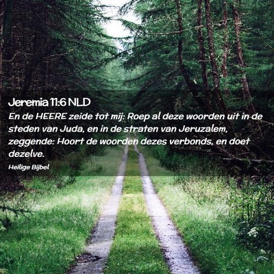 Picture 02 - Jeremia 11:6 NLD - En de HEERE zeide tot mij: Roep al deze woorden - Bible Verse Picture