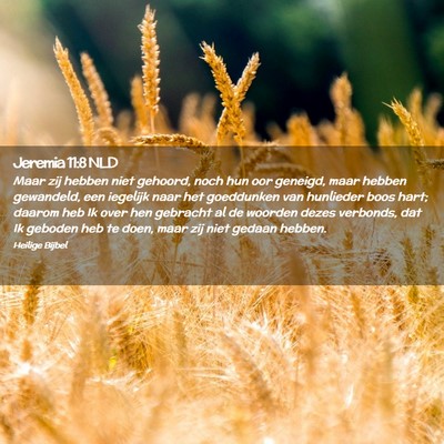 Picture 02 - Jeremia 11:8 NLD - Maar zij hebben niet gehoord, noch hun oor - Bible Verse Picture
