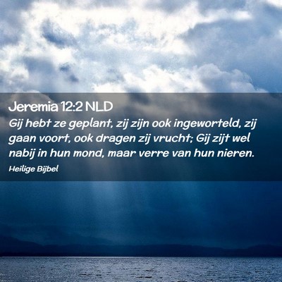 Picture 02 - Jeremia 12:2 NLD - Gij hebt ze geplant, zij zijn ook ingeworteld, - Bible Verse Picture