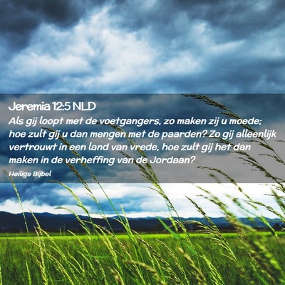 Picture 02 - Jeremia 12:5 NLD - Als gij loopt met de voetgangers, zo maken zij u - Bible Verse Picture
