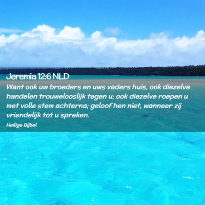 Picture 02 - Jeremia 12:6 NLD - Want ook uw broeders en uws vaders huis, ook - Bible Verse Picture