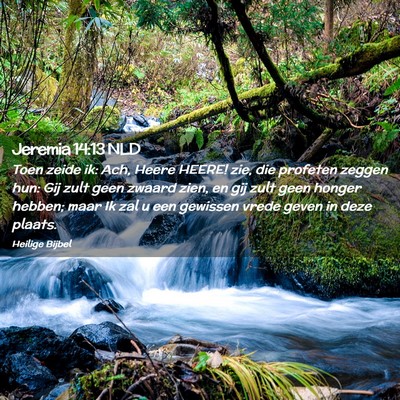 Picture 02 - Jeremia 14:13 NLD - Toen zeide ik: Ach, Heere HEERE! zie, die - Bible Verse Picture