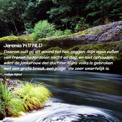 Picture 02 - Jeremia 14:17 NLD - Daarom zult gij dit woord tot hen zeggen: Mijn - Bible Verse Picture