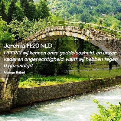 Picture 02 - Jeremia 14:20 NLD - HEERE! wij kennen onze goddeloosheid, en onzer - Bible Verse Picture