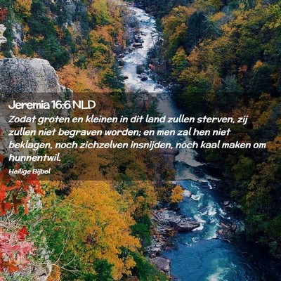 Picture 02 - Jeremia 16:6 NLD - Zodat groten en kleinen in dit land zullen - Bible Verse Picture