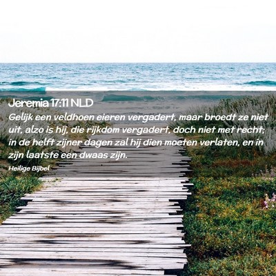 Picture 02 - Jeremia 17:11 NLD - Gelijk een veldhoen eieren vergadert, maar broedt - Bible Verse Picture