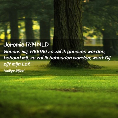 Picture 02 - Jeremia 17:14 NLD - Genees mij, HEERE! zo zal ik genezen worden, - Bible Verse Picture