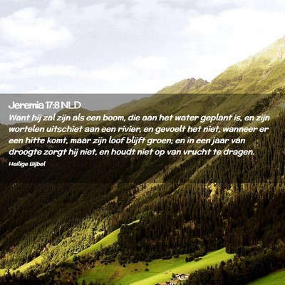 Picture 02 - Jeremia 17:8 NLD - Want hij zal zijn als een boom, die aan het water - Bible Verse Picture