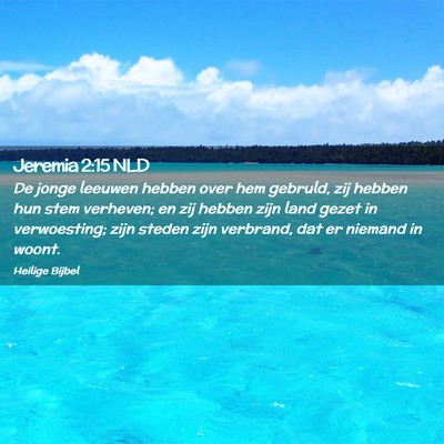 Picture 02 - Jeremia 2:15 NLD - De jonge leeuwen hebben over hem gebruld, zij - Bible Verse Picture