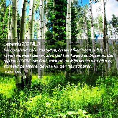 Picture 02 - Jeremia 2:19 NLD - Uw boosheid zal u kastijden, en uw afkeringen - Bible Verse Picture