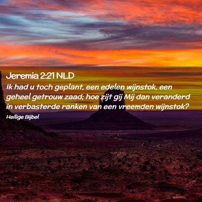 Picture 02 - Jeremia 2:21 NLD - Ik had u toch geplant, een edelen wijnstok, een - Bible Verse Picture