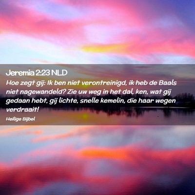 Picture 02 - Jeremia 2:23 NLD - Hoe zegt gij: Ik ben niet verontreinigd, ik heb - Bible Verse Picture