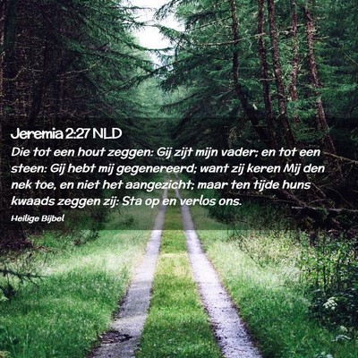 Picture 02 - Jeremia 2:27 NLD - Die tot een hout zeggen: Gij zijt mijn vader; en - Bible Verse Picture