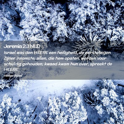 Picture 02 - Jeremia 2:3 NLD - Israel was den HEERE een heiligheid, de - Bible Verse Picture